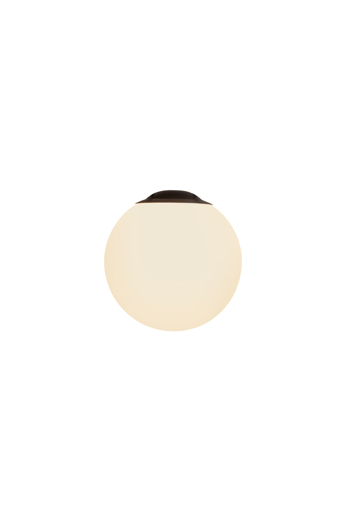 Globe Light