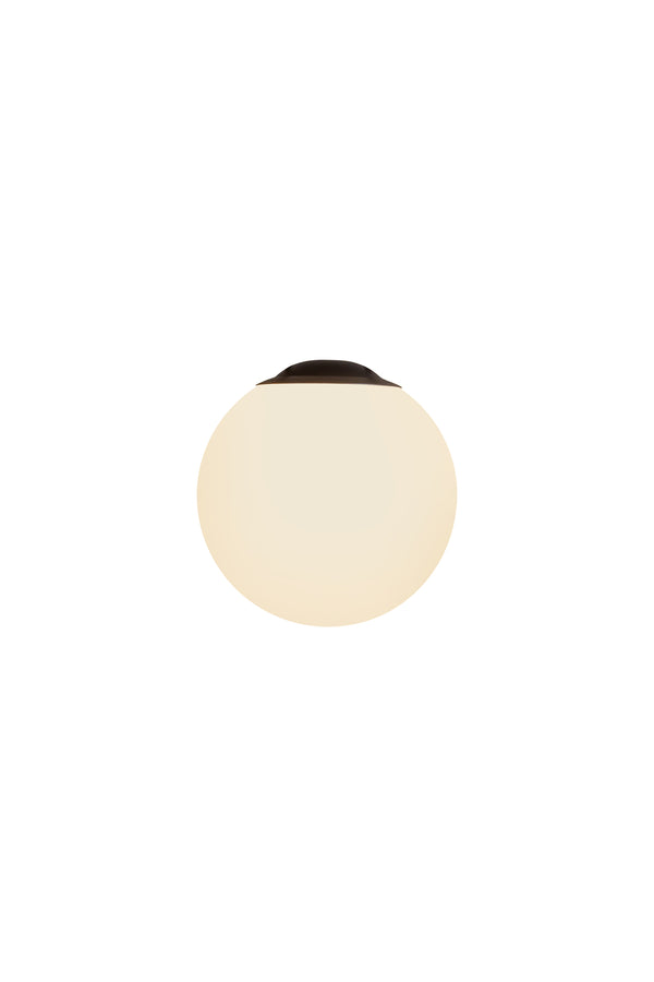 Globe Light