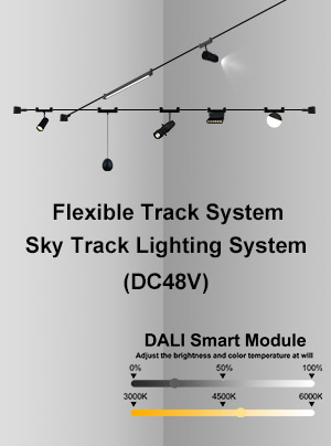 Leaves Catalogue for DALI -Sky Track Lighting System 2022
