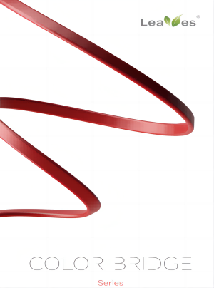 Color Bridge Catalog1